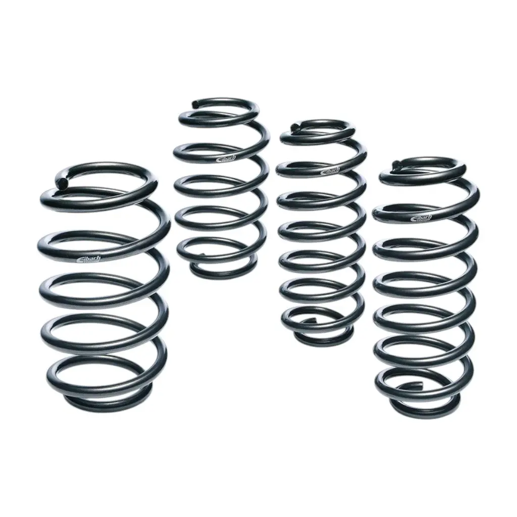 EIBACH E10-20-059-01-22 Performance Springs Pro-Kit for BMW M5