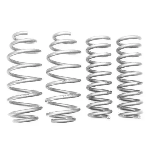 EIBACH E30-28-016-02-22 PRO-LIFT-KIT Springs (Front & Rear Springs)