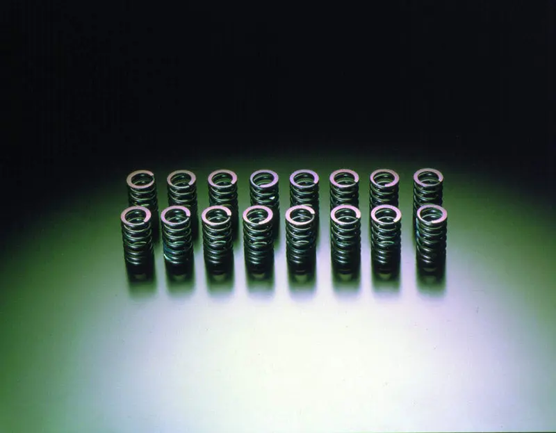 HKS 22001-AN001 Valve Spring Kit RB26 DETT Step 2
