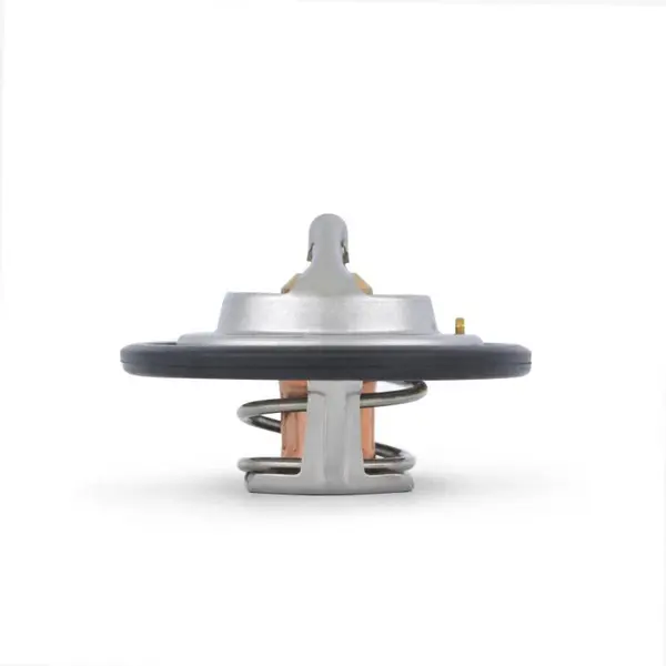 MISHIMOTO MMTS-MUS-96 FORD Mustang V8 Racing Thermostat, 1996-2004