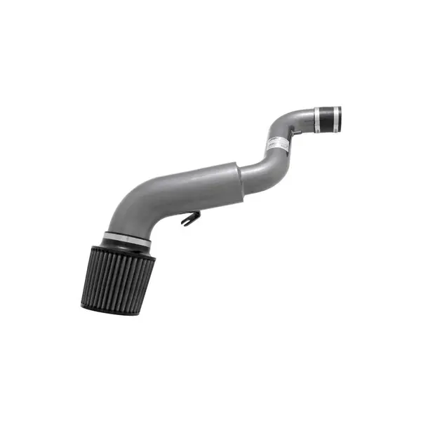 AEM 24-6005C Dual Chamber Intake System D.C. PRE 92-01 A / T & M / T