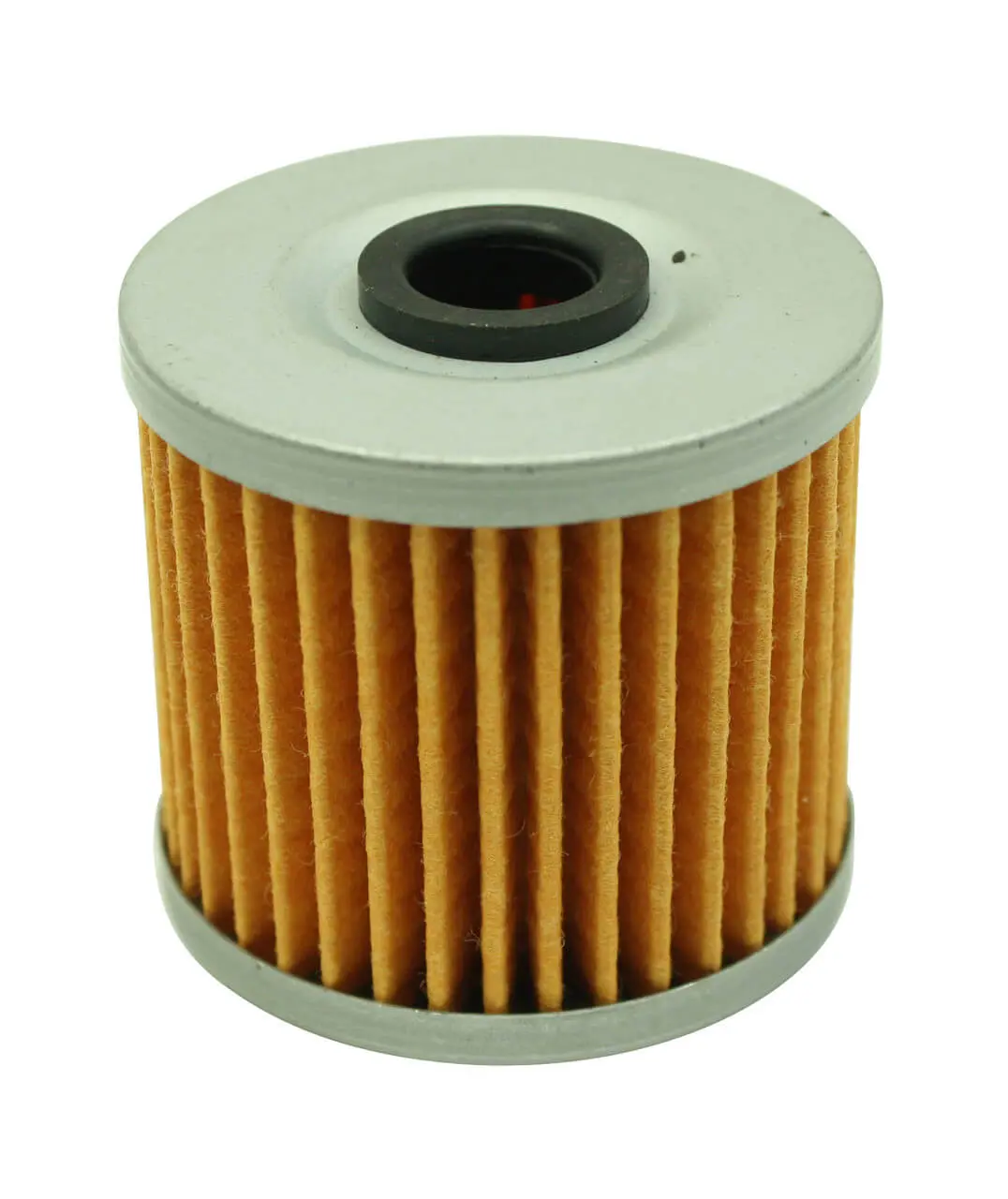 AEM 25-203 High volume fuel filter element