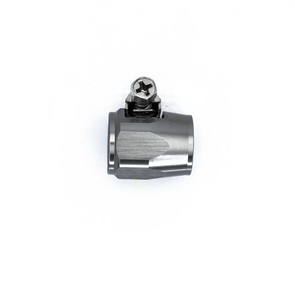 DEATSCHWERKS 6-02-0350 6AN Worm Drive Clamp, anodized DW titanium