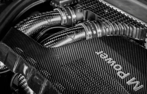 EVENTURI EVE-S55-CF-CHG Chargepipes - Set of 2 Upper Chargepipes (Carbon) for BMW S55