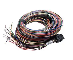 LINK ECU 101-0010 5m T Loom - Early Atom G4