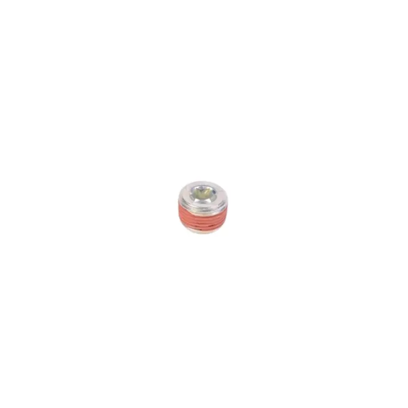 RADIUM 14-0173 3/8NPT PLUG