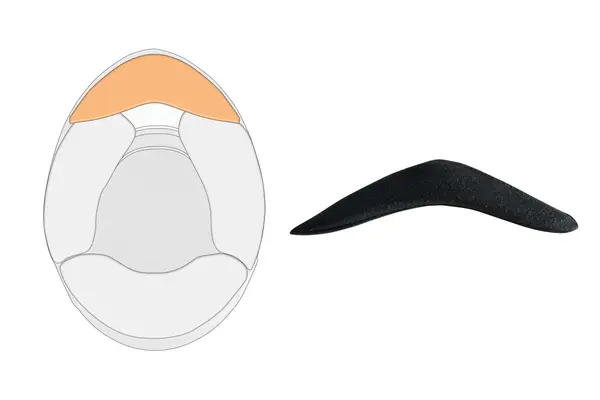 SCHUBERTH 10100012149 Wind Deflector SP1 - Black colour