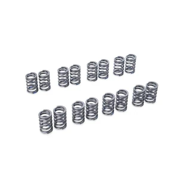 TOMEI TA304A-SB01A VALVE SPRING EJ205/207/255/257