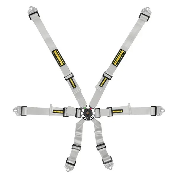 SCHROTH 94530A-9 Racing Harness Flexi 2x2 6-Point, Silver
